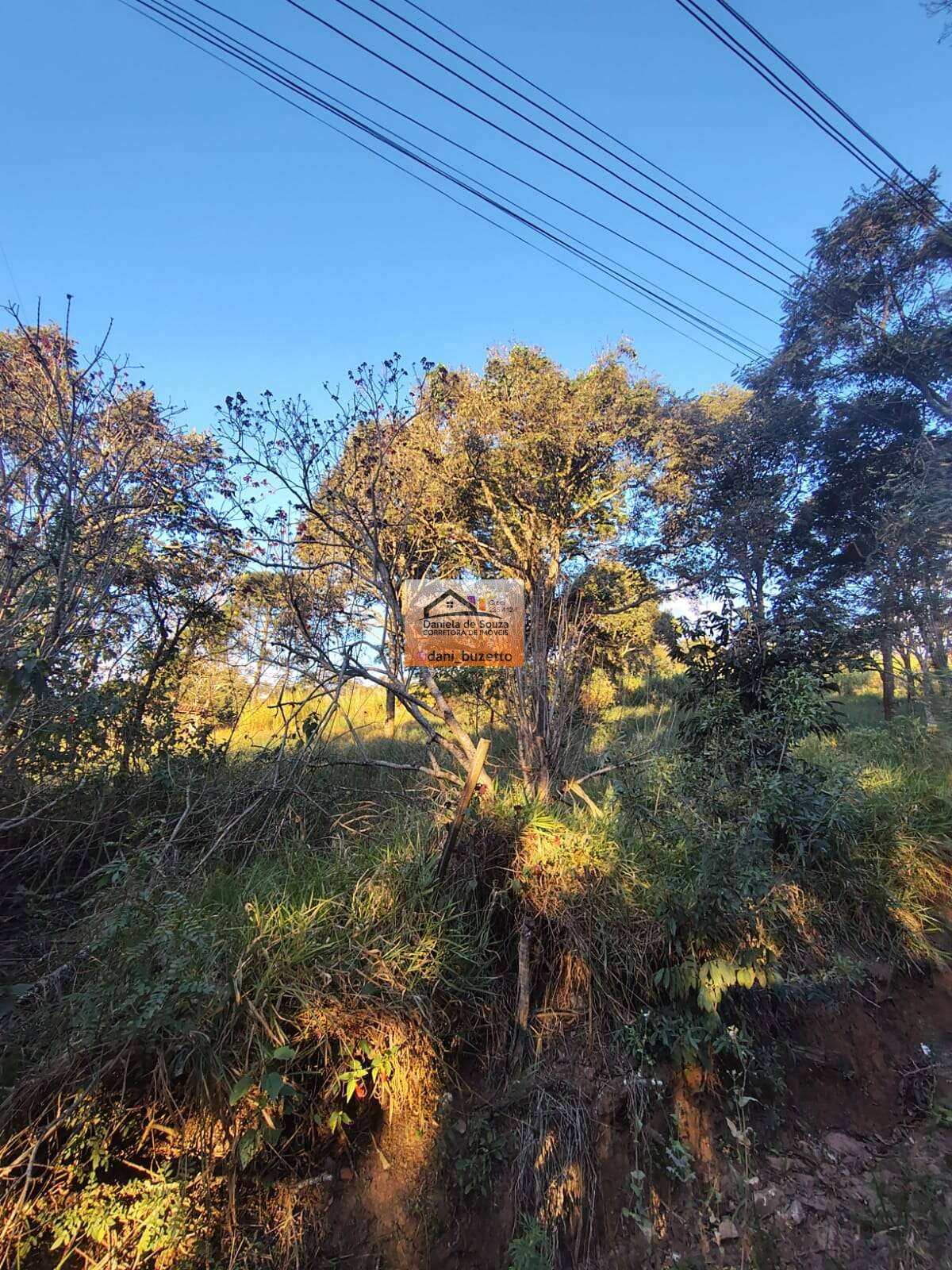 Terreno à venda, 1500m² - Daniela deSouza