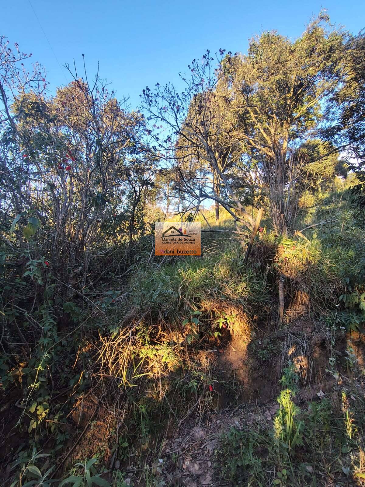 Terreno à venda, 1500m² - Daniela deSouza