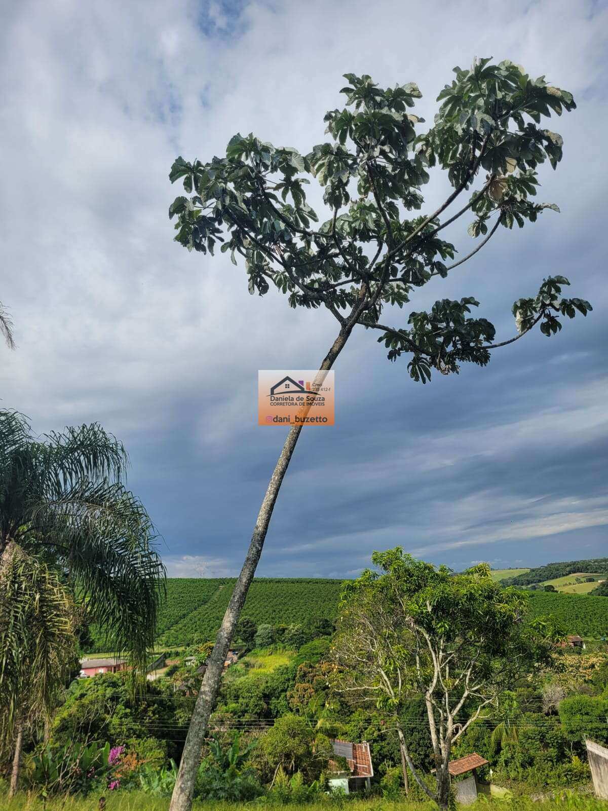 TERRENO PARA CONSTRUIR A CHÁCARA DOS SEUS SONHOS EM JARINU SP, POR APENAS $254.000,00 - Daniela deSouza