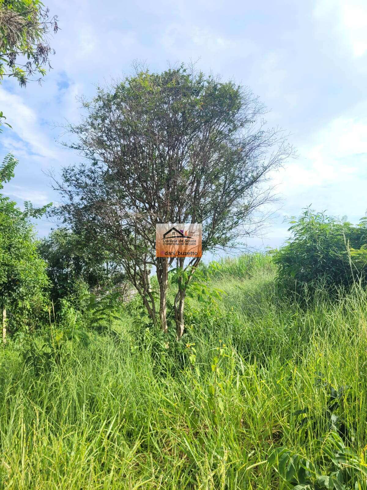 TERRENO PARA CONSTRUIR A CHÁCARA DOS SEUS SONHOS EM JARINU SP, POR APENAS $254.000,00 - Daniela deSouza